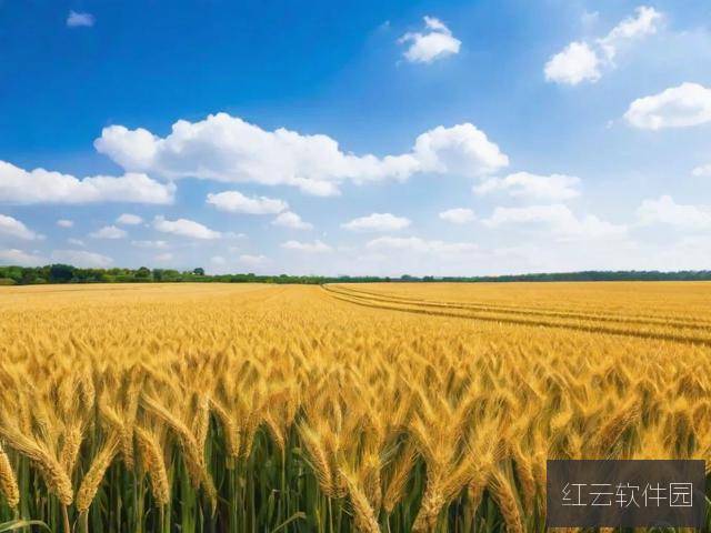 单位一二三产区差异解析,9大特质区分‘成品人’与‘精品人’