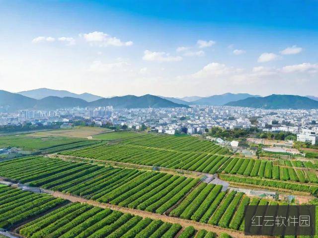 日本一线产区与韩国二线产区,哪个更值得选择?